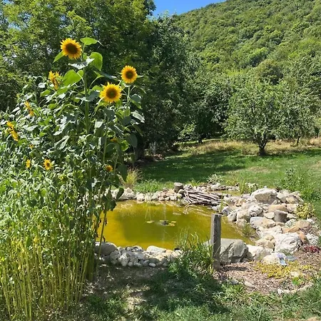Bed and Breakfast En Alpacie